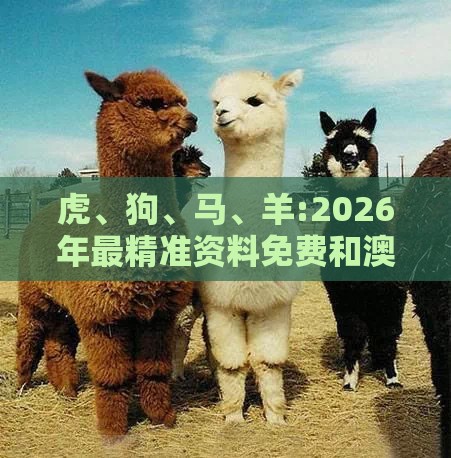 虎、狗、马、羊:2026年最精准资料免费和澳门一肖一马一恃一中预测怎么玩巩固解答、解释与落实,留心伪假宣传危害