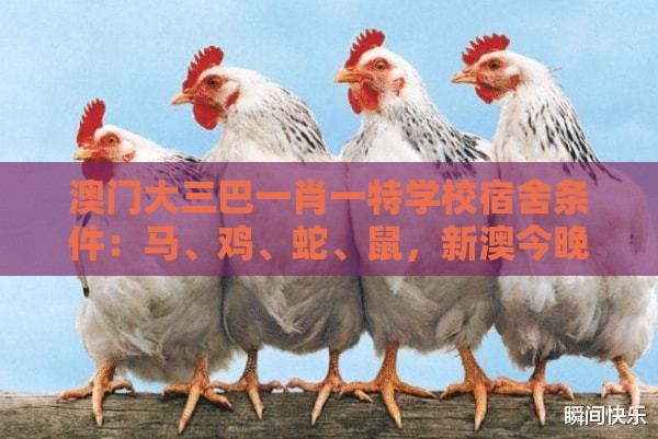 澳门大三巴一肖一特学校宿舍条件：马、鸡、蛇、鼠，新澳今晚开一肖一特预测和神算子,新澳门六天天开好彩预测准不准-可持续解读、解释与落实,谨防虚假美化陷阱
